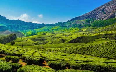 Munnar