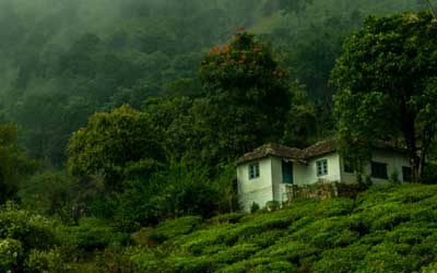 Wayanad